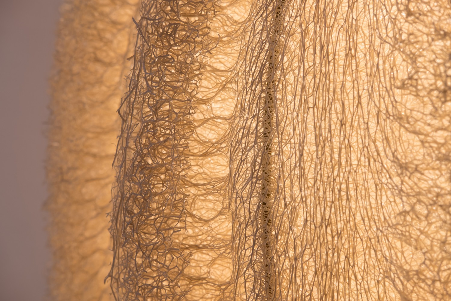 Loofah lampen
